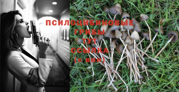 mdpv Рославль
