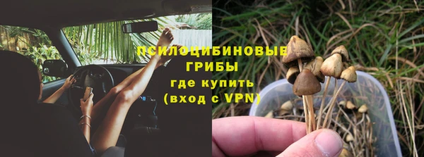 бошки Вяземский
