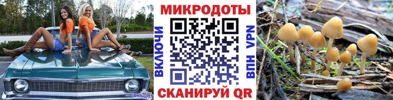 дарнет шоп  Гагарин  Псилоцибиновые грибы Cubensis 