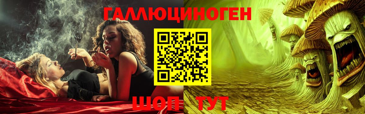 Псилоцибиновые грибы MAGIC MUSHROOMS  Вход с VPN  Гагарин 