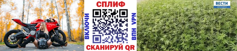 Бошки марихуана сатива  Гагарин 